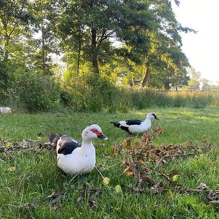 Pipowagens Bij Pannenkoekenrestaurant & Camping De Koppenjan 'Een Uniek Verblijf Met Kinderspeelboerderij' Jubbega-Schurega Extérieur photo