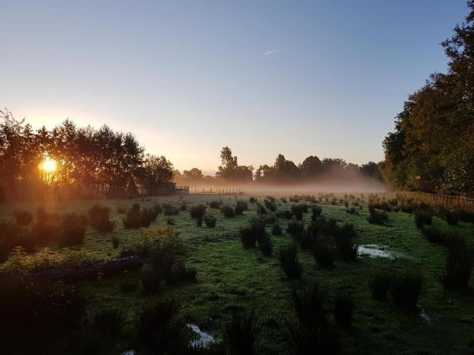 Pipowagens Bij Pannenkoekenrestaurant & Camping De Koppenjan 'Een Uniek Verblijf Met Kinderspeelboerderij' Jubbega-Schurega Extérieur photo