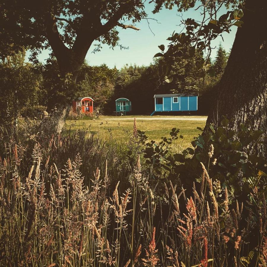 Pipowagens Bij Pannenkoekenrestaurant & Camping De Koppenjan 'Een Uniek Verblijf Met Kinderspeelboerderij' Jubbega-Schurega Extérieur photo