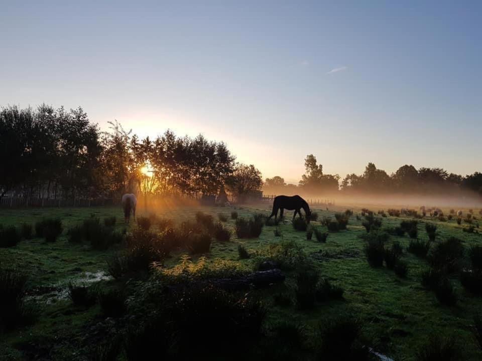 Pipowagens Bij Pannenkoekenrestaurant & Camping De Koppenjan 'Een Uniek Verblijf Met Kinderspeelboerderij' Jubbega-Schurega Extérieur photo