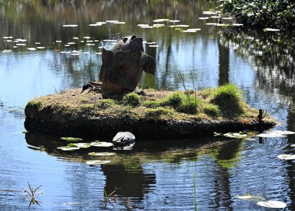 Pipowagens Bij Pannenkoekenrestaurant & Camping De Koppenjan 'Een Uniek Verblijf Met Kinderspeelboerderij' Jubbega-Schurega Extérieur photo